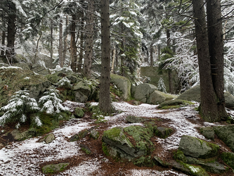 New Hampshire: Snowy Mt Monadnock