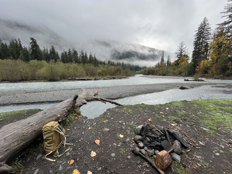 Olympic: Hoh Rainforest Vista