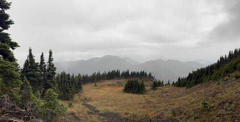 Olympic: Hurricane Ridge