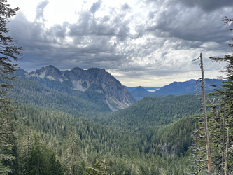 Rainer: Landscape