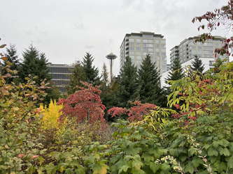 Seattle: Space Needle