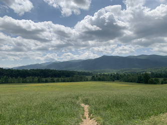 Smoky Mountains: Cades Cove