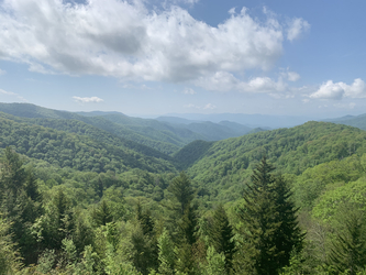 Smoky Mountains: Landscape