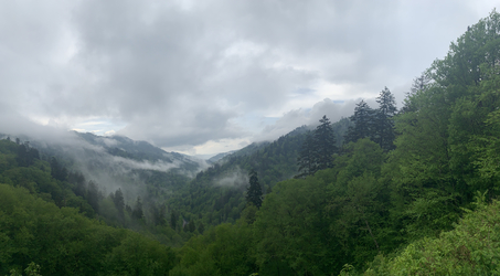 Smoky Mountains: Smoky Valley