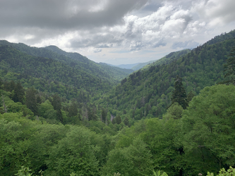 Smoky Mountains: Valley