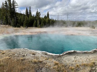 Yellowstone: Spring