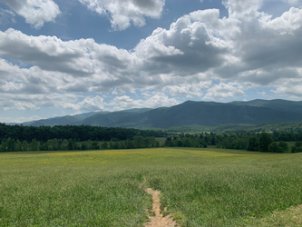 smoky mountains: cades cove