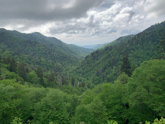 smoky mountains: valley