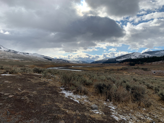 yellowstone: lamar valley